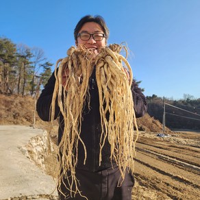 8월수확 약도라지 깐도라지 흙 세척 생도라지 1kg 국산, 종류, 1개, 흙약도라지(실속) 1kg