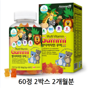 네추럴라이즈 멀티비타민 꾸미 60p, 30회분, 2개