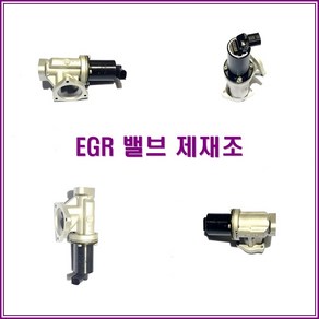 그랜드카니발EGR 밸브28410-4X900