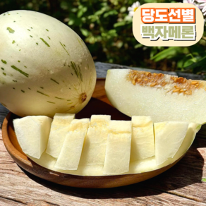 [프리미엄] 고당도 백자메론 산지직송, 1개, 1통