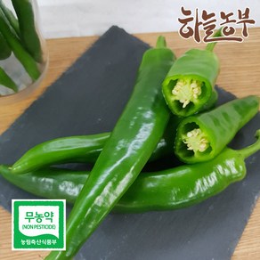 하늘농부 친환경 오이고추 150g, 1봉