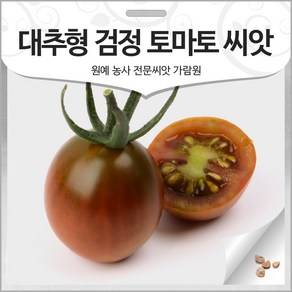 대추형 검정 토마토 씨앗 방울 토마토씨 종자 10알, 1개