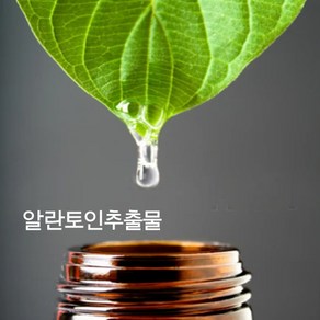 알란토인 액상 알란토인 추출물(무방부제), 500ml, 500ml, 1개