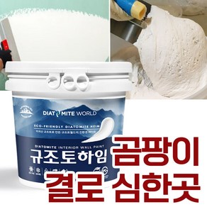 규조토월드 규조토하임 미장용 몰탈타입 10Kg 곰팡이 결로 심한 곳 강력추천 단열 결로 벽지 곰팡이방지 베란다 천연 친환경 셀프, 1개, 01.기본:화이트 몰탈