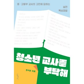 [홍성사]청소년 교사를 부탁해 : 중고등부 교사의 고민에 답하는 실전 핵심파일, 홍성사