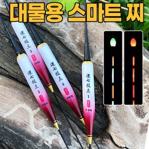 운칠기삼 레드 민물 스마트전자찌 올림찌 대물전자찌 (4타입)(주야겸용), 4호, 1개