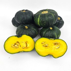 과일장수언니 제주 단호박 미니 밤호박 보우짱단호박 밤단호박 autumn squash [원산지:국산(제주특별자치도)], 1개, 3kg