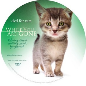 DVD Fo Cats 혼자 있는 고양이를 위한 DVD, 1개