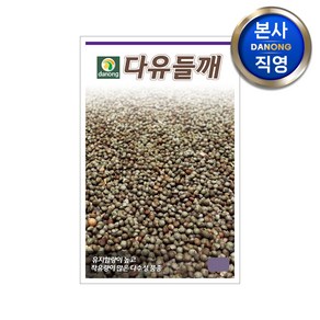 다유 들깨 씨앗 20g . 착유량 많은 다수성 기름용 채소 파종 재배 씨 종자, 단품없음