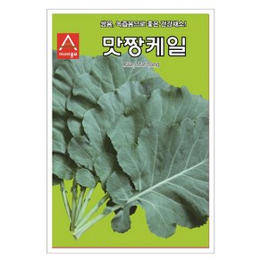 케일 씨앗 맛짱케일 1000립 채소 야채 쌈용 녹즙용 케일 종자 아시아종묘, 1개