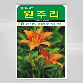 슬로시 꽃 씨앗 고급 꽃씨 야생화 허브씨 종자 모음, 1개