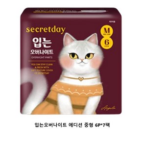 시크릿데이 입는 오버나이트 생리대