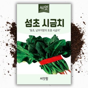 씨앗팜 월동 섬초 시금치씨앗 20g 동초 월동 시금치 종자, 1개