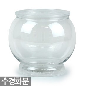 세인 수경화분 - 수경재배식물 화분 원형화분 수경재배 실내화분 인테리어화분 투명화분 플라스틱화분 식물