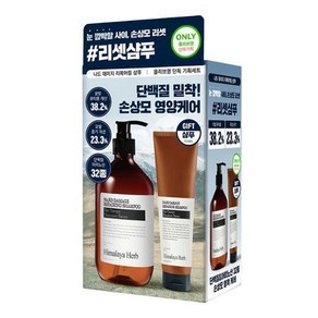 부케가르니 나드 데미지 리페어링 샴푸 시그니처 (+100ml ) 세트, 1세트