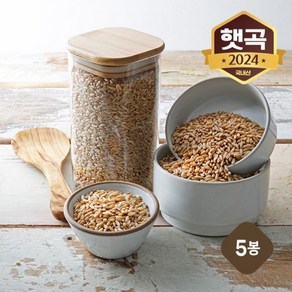 국내산 강진 쌀귀리 5kg 1kgX5봉[34397042], 단일옵션, 1kg, 5개