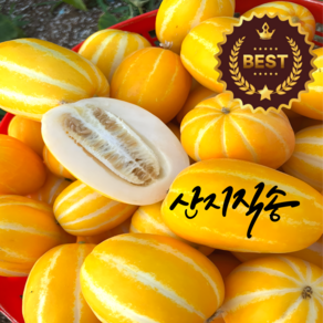 [오늘담음]고당도 당도선별 산지직송 성주참외 가정용참외 2kg, 1박스, 2kg(중소과)