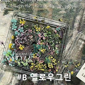 미니 드라이 부케 생화 (택1) / 플라워 꽃 네일 젤네일 아트 재료, 1개, B.옐로우그린