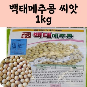 (콩씨앗종자) 백태콩(메주콩)(1kg)