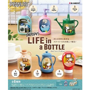 리멘트 PEANUTS SNOOPY's LIFE in a BOTTLE BOX 상품 전6종 6개들이, 단일 옵션