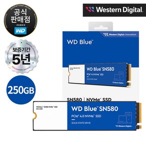 [공식판매점] WD BLUE SN580 M.2 NVMe SSD, 250GB, 단품