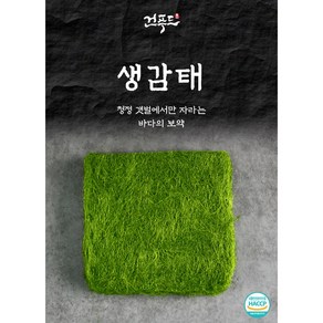 유부점방 국내산 생감태 9장