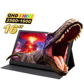 WAZ 2.5K WQXGA 16인치 IPS 포터블 DEX 휴대용 모니터 초경량 1600XTS, 40.64cm
