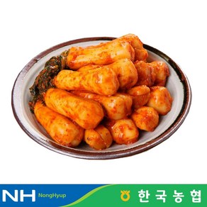 한국농협 마이산김치 국내산 알타리 총각김치 5kg, 1개