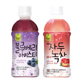 웰그린 블루베리아이스티10개+자두녹차10개 340ml 20개, 1세트