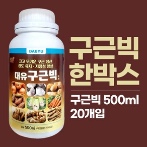 대유 구근빅, 500ml, 20개