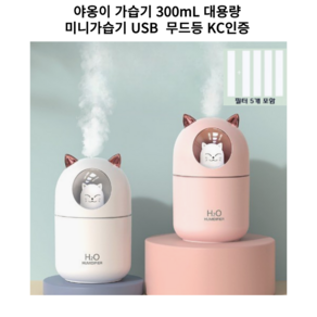 뚭니몰 야옹이 가습기 300mL 대용량 미니가습기 USB 무드등 KC인증, 민트