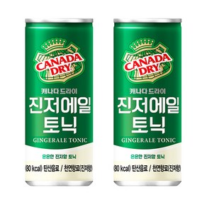 캐나다드라이 진저에일 토닉, 250ml, 30개