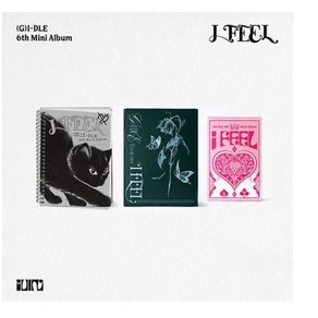 여자 아이들 G-IDLE 미니 6집 I feel 아이필 일반반 포토북 앨범 퀸 Queen Cat 캣 Buttefly 나비 -, Buttefly(나비)