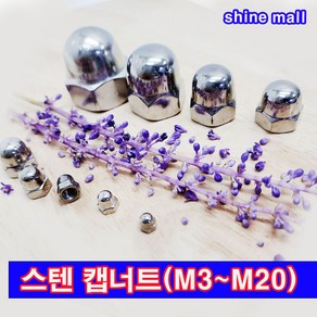 캡너트 육각 스텐 너트/규격선택(M3~M20) 무료배송/낱개 소량 개당판매, M6, 12mm, 15개