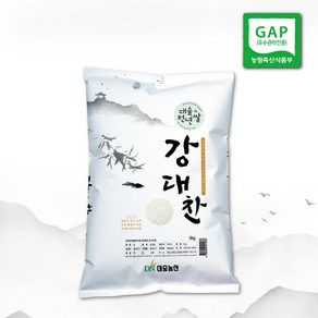 [천년담양] 24년 GAP우수 맛있는 상등급 강대찬쌀 5kg(당일도정), 1개, 5kg