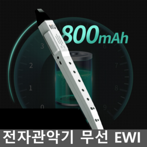 전자관악기 무선 EWI 에어로폰 취미 연주 입문용, 민트 (표준구성)+교재의 전자 버전, 1개