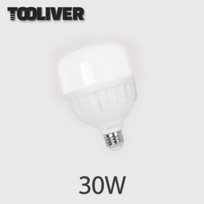 툴리버 수명이 긴 LED 전구 T램프 30W 6500K