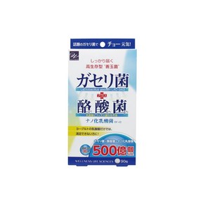가세리균+부티르산균 90알, 1개