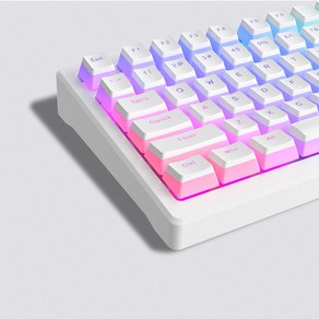 측각 블루 그라데이션 키캡 Chey PBT 이중사출 RGB LED 투과, 21. 푸딩 화이트, 제조사축