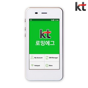 대만 포켓와이파이 무제한 KT로밍에그 공항수령반납, 인천공항 1터미널, 1개