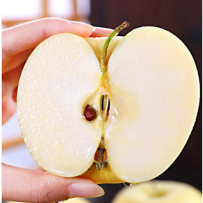 [가성비추천] 벌꿀Bix 못난이사과 시나노골드 황금사과, 1개, 3kg