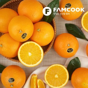 고당도 네이블 오렌지 8과 2.4kg내외 (특대과), 1개, 상세설명 참조