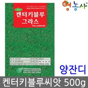 켄터키 블루그라스 양잔디씨앗 500g, 켄터키블루그라스500g, 1개