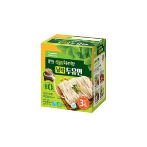 풀무원 식물성지구식단 납작 두유면 3개입 450g, 1개