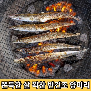 청년고집 반건조 양미리