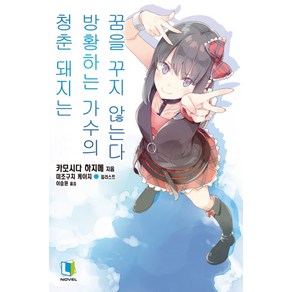 청춘 돼지는 방황하는 가수의 꿈을 꾸지 않는다 10, 디앤씨미디어