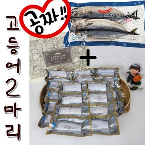 [해담]제주 은갈치(300g 8마리) 총32토막 특갈치 선물세트, 01.제주 특갈치 8미 1호, 1개