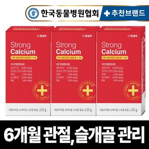 펫생각 리얼칼슘 강아지 관절 영양제 연골 슬개골 탈구 디스크 도움 보조제 아기 노견 노령견 보스웰리아 글루코사민 MSM 120g, 3개, 뼈/관절강화