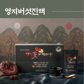 일월종가 국산 영지즙 영지버섯진액 100%원액 설 구정선물세트, 30개, 단품, 100ml