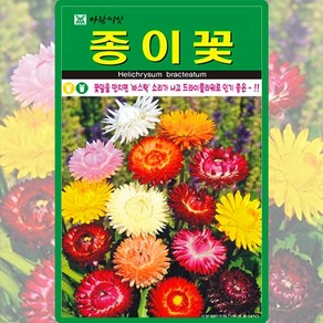 아람종묘 종이꽃 씨앗 500립 밀짚꽃씨 야생화 종자, 1개